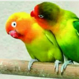 للمتزوجين فقط 💙 - قناة Telegram