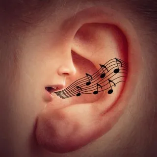𝕋𝕚𝕟𝕟𝕚𝕥𝕦𝕤 𝕂𝕒𝕟𝕒𝕝 👂🎶 - Kanal Telegram