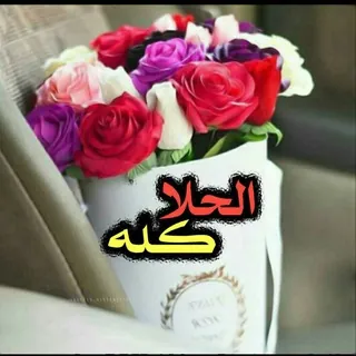 إبراهيم محمد محمد - بوت Telegram