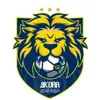 صورة الملف الشخصي: 🇺🇦 🦁 كورة النصر 🇺🇦