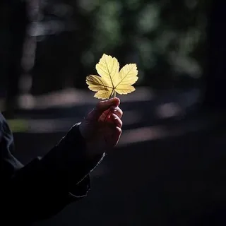 فلسفة مشاعر 🥀 - قناة Telegram