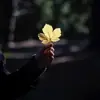 صورة الملف الشخصي: فلسفة مشاعر 🥀