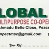 Profile picture: GLOBAL IMPACT NETWORK