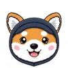 Profile picture: Asteroid Shiba | SPACEX Portal