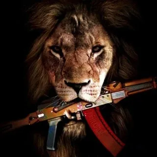 🦁 Z"💟FF"ickDich! ❤️‍🔥 - Bot Telegram