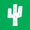 Фото профиля: CACTUS | актуальные промики