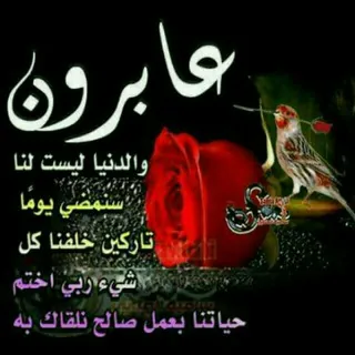 سنرحل ويبقى الاثر ❤️صدقة جاريه عن محمد ناصر الكثيري💓 - قناة Telegram