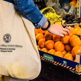 🍑 UNITiN - Frutta Freska 🍎 - Canale Telegram
