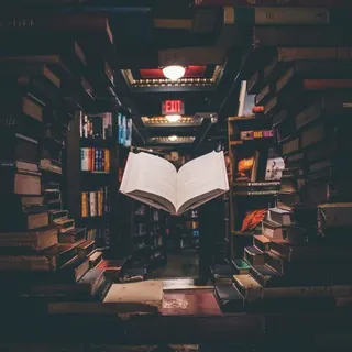 Quote Bot - Bot Telegram