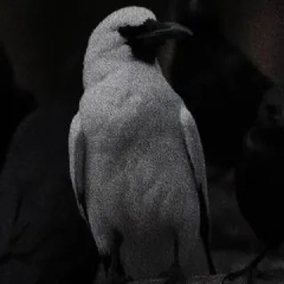 Who are you? - Bot Telegram