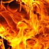 immagine profilo del channel telegram di 🔥 Flames Network 🔥
