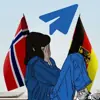 Profilbild: Versagen der deutschen Regierung im Stil des 22 Juli – wenn Deutschland NICHTS von Norwegen lernte - Politikern ins Gefä