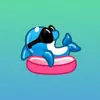 Profile picture: Dolphin (Make sure I'm real) 🌊