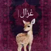 صورة الملف الشخصي: غَزَالْ|