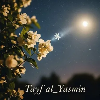 طـيـ᭓ـف آلَـيـّآًسًـ᭣ٌ᭫ᥫᩣـمِــيـن✨🤍 - قناة Telegram