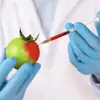 Profilbild: 💢Genfood News - Was essen wir da?