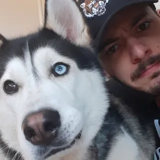 Nico D. Uzumaki - Bot Telegram