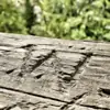 Profilbild: Waldgang-Kontakt