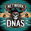 immagine profilo del channel telegram di ♆✧ Network ✧ DNAS ✧♆ (Gruppi Chat)