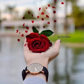لكل ما تحـ♡ـتاجة الفتيات┊❥ - قناة Telegram