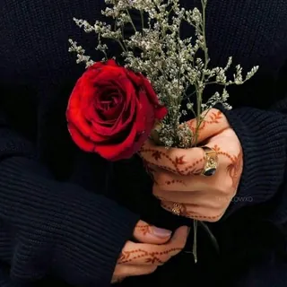كبرياء الورد ..✿❥●• - قناة Telegram