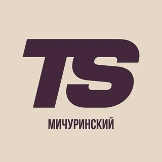 TS Мичуринский - Бот Telegram
