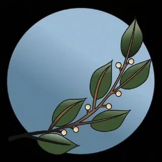 Holistische Gesundheit - Canale Telegram