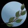 immagine profilo del channel telegram di Holistische Gesundheit
