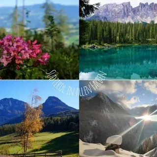 Südtirol in allen Farben - Kanal Telegram