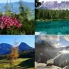 Profilbild: Südtirol in allen Farben