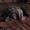 صورة الملف الشخصي: و اَذْكُر رَبّكَ إذَا نَسِيتَ📿