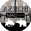 immagine profilo del channel telegram di MAC Trader Free