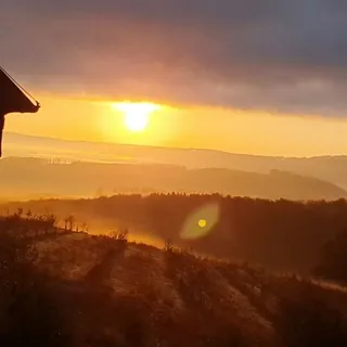 Dieter der Barde - Kanal Telegram