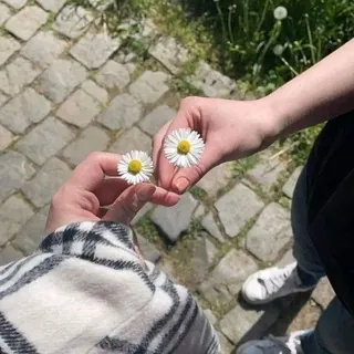بُثْن🦋 - قناة Telegram