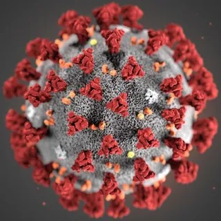 Coronavirus-Ticker SARS-CoV-2, Covid-19 Wuhan aktuell - Pandemie länger überleben durch rechtzeitige Information via Tel - Kanal Telegram