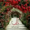 صورة الملف الشخصي: ╰⊰⊹✿ أبو دعــــــاء ✿⊹⊱╮