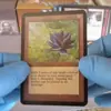 immagine profilo del group telegram di Magic the Gathering - Gioca - Italia 🇮🇹 - livegaming.it