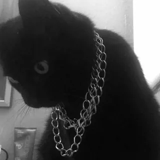 CYF Bot ♡ - Bot Telegram