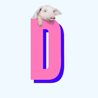 Diritti Sessuali - Canale Telegram