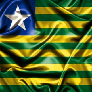 Piauí Conectado - Grupo Telegram