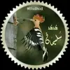 صورة الملف الشخصي: 👌°`هـُدهــُد سـُـلـيـمـاَن ❆
