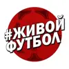 Фото профиля: ЖИВОЙ ФУТБОЛ