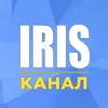 immagine profilo del channel telegram di Iris | Чат-менеджер | Канал