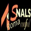 immagine profilo del channel telegram di SNALS-Confsal di Roma