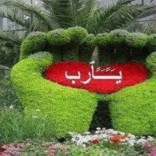 قنوات علي وعائشة - قناة Telegram