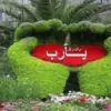 صورة الملف الشخصي: قنوات علي وعائشة