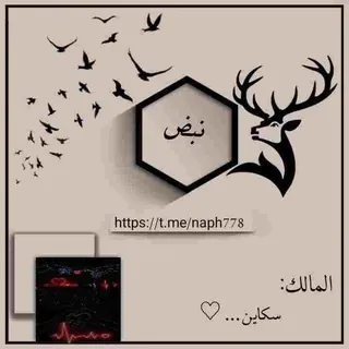 نبضات ♠️. - قناة Telegram