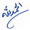 صورة الملف الشخصي: محمد المصباحي