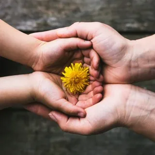 𝑅𝑒𝒾𝓈𝑒𝓃, 𝒰𝓇𝓁𝒶𝓊𝒷, 𝑔𝑒𝑔𝑒𝓃 𝐻𝒶𝓃𝒹 - Gruppo Telegram
