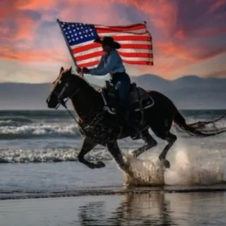 🐎 Mustang Debbie Channel🐎 - Channel Telegram